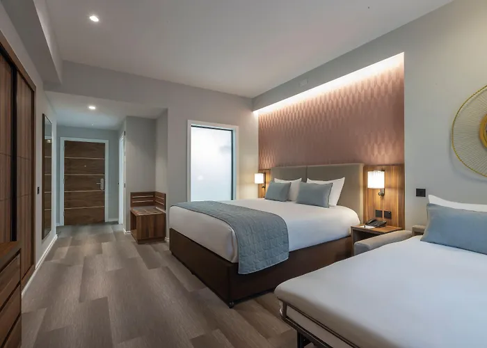 Riu Plaza The Gresham 酒店 4*