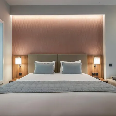 Riu Plaza The Gresham 酒店 4*