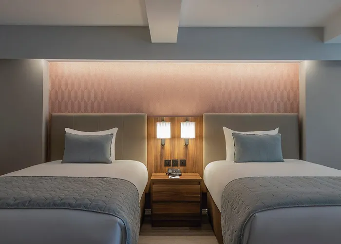 Отель Riu Plaza The Gresham